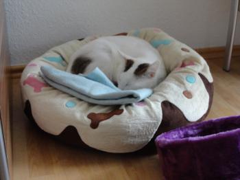 Flocke Bild von Flocke