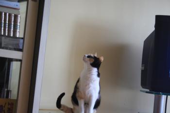 Teresita Bild von Teresita