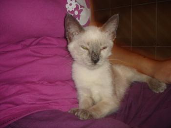 Lola Bild von Lola