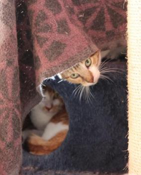 Gustavo Bild von Gustavo