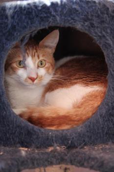 Gustavo Bild von Gustavo