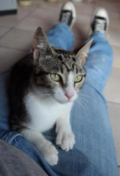 Prinz Bild von Prinz