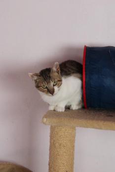 Andy Bild von Andy