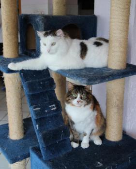 Buddy Bild von Buddy