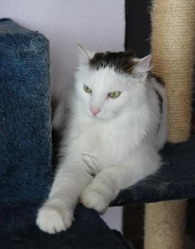 Buddy Bild von Buddy