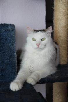 Buddy Bild von Buddy