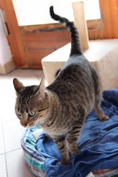 Gipsy-Mimi Bild von Gipsy-Mimi