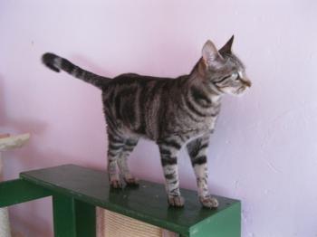 Lulu Bild von Lulu