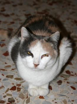 Cara Bild von Cara