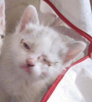 Ohne Namen 4889 Bild von Bobby