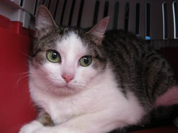 Hafsi Bild von Hafsi