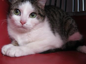 Hafsi Bild von Hafsi