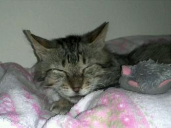 Chencho Bild von Chencho