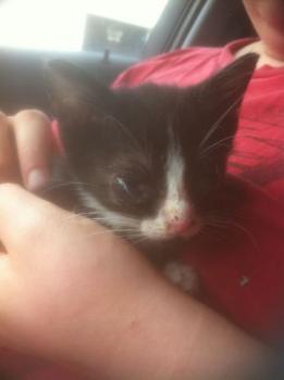 Babette Bild von Babette