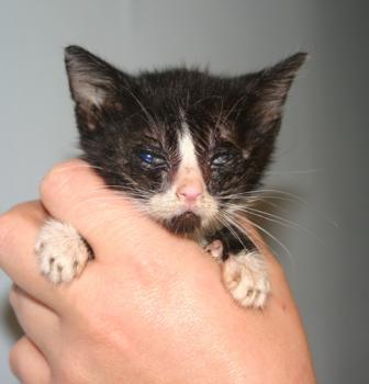 Babette Bild von Babette