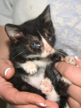 Babette Bild von Babette