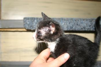 Babette Bild von Babette