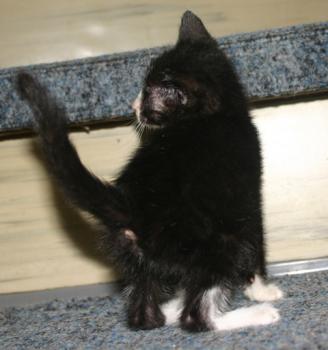 Babette Bild von Babette