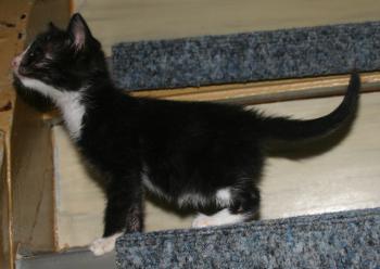 Babette Bild von Babette