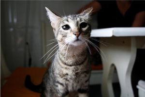 Mimi Bild von Mimi