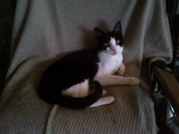 Polly Bild von Polly