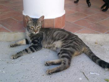 Trass Bild von Trass