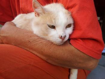 Averil Bild von Averil