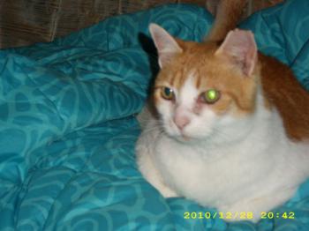 Bild von Cloe