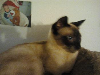 Wendolyn Bild von Wendolyn
