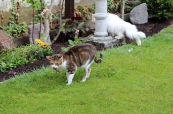 Hansel Bild von Hansel