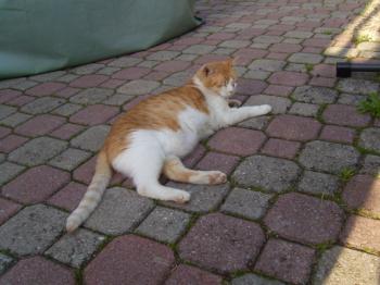 Bild von Cloe