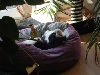Takas Bild von Takas