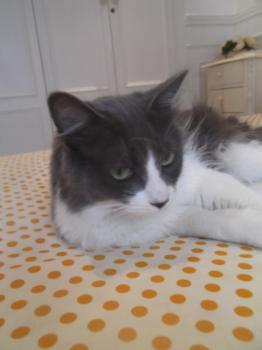 Ohne Namen 5034 Bild von Lilian
