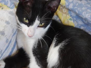 Moritz Bild von Moritz
