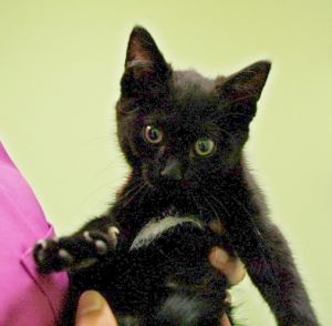 Raymond Bild von Raymond