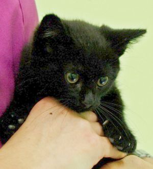 Raymond Bild von Raymond