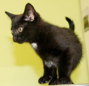 Raymond Bild von Raymond