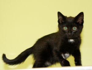 Raymond Bild von Raymond