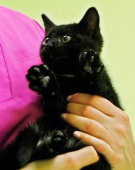 Raymond Bild von Raymond