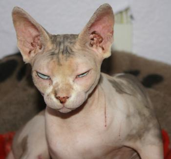 Beyza Bild von Beyza