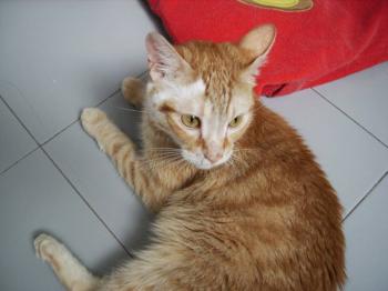 Filomeno Bild von Filomeno