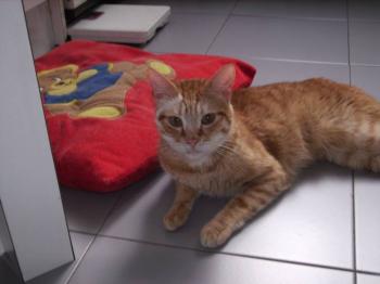 Filomeno Bild von Filomeno
