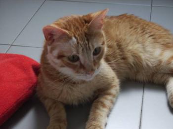 Filomeno Bild von Filomeno