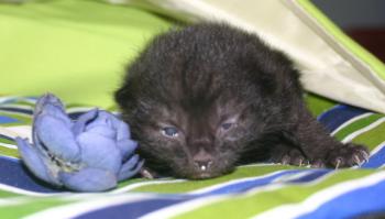 Hannes Bild von Hannes
