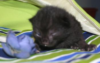Hannes Bild von Hannes