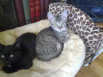 Raymond Bild von Raymond