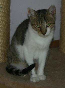 Andy Bild von Andy
