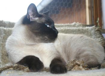 Summer Bild von Summer