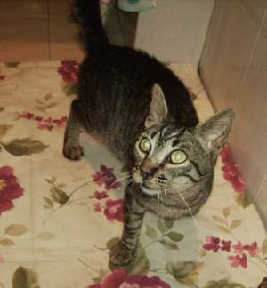 Lucky Bild von Lucky