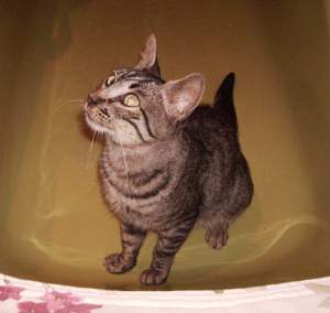 Lucky Bild von Lucky